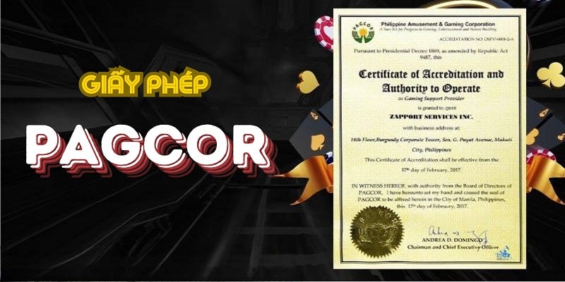 giay-phep-hoat-dong-100vip-dieu-kien-nhan